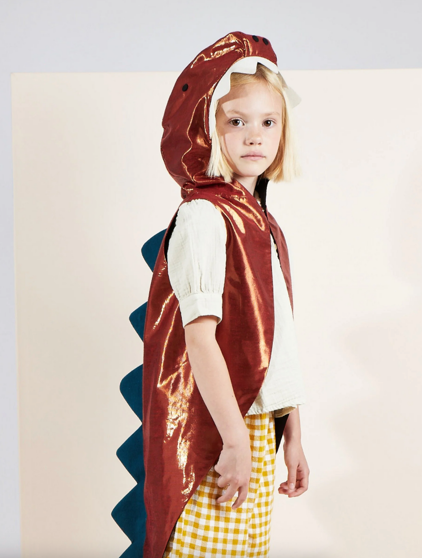 Dinosaur Dress Up Age 3-6 Years