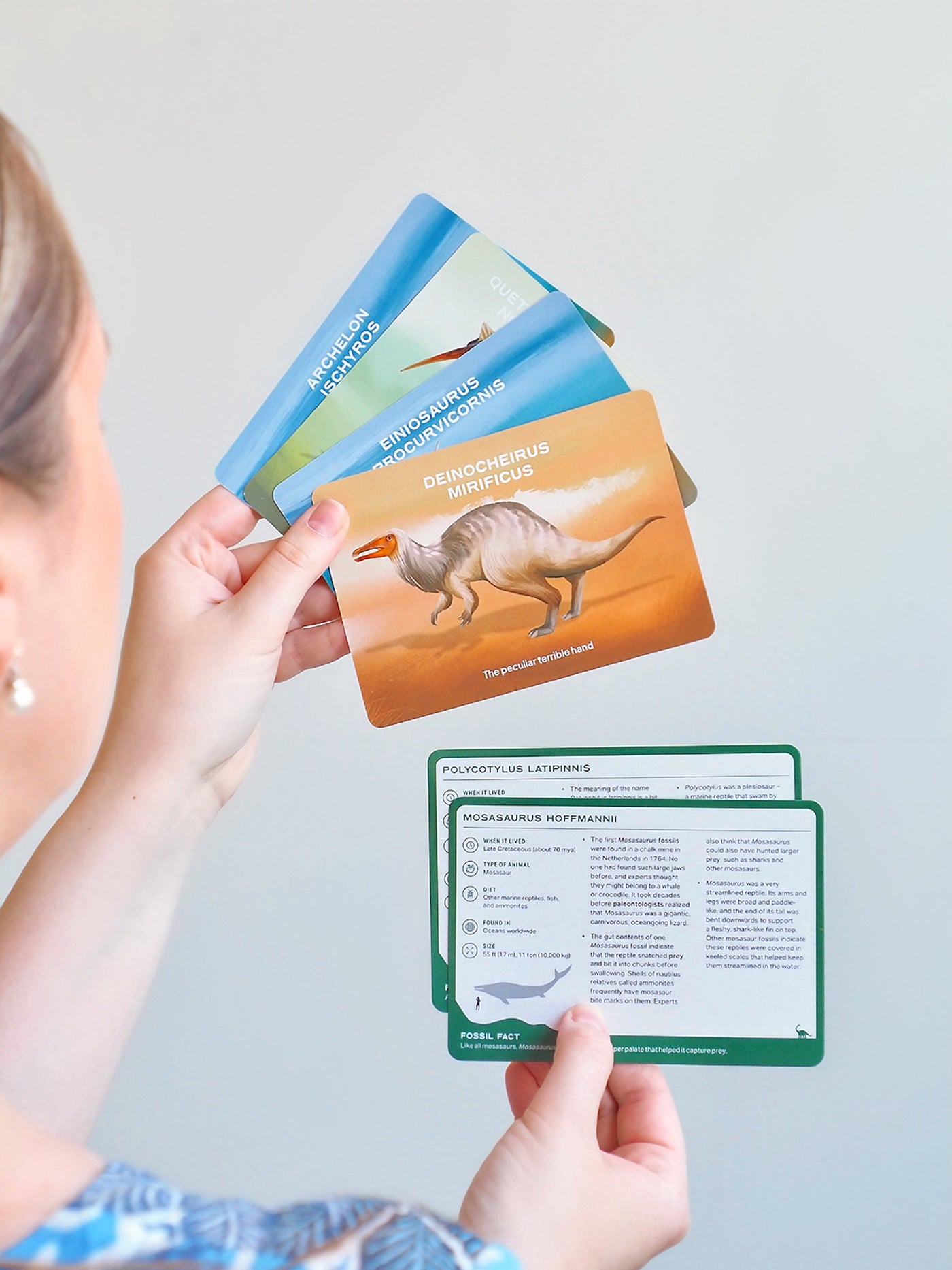 The Dinosaur Deck - The Cross Decor & Design