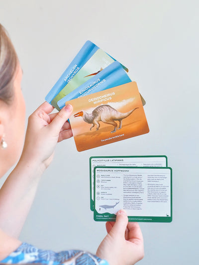 The Dinosaur Deck - The Cross Decor & Design