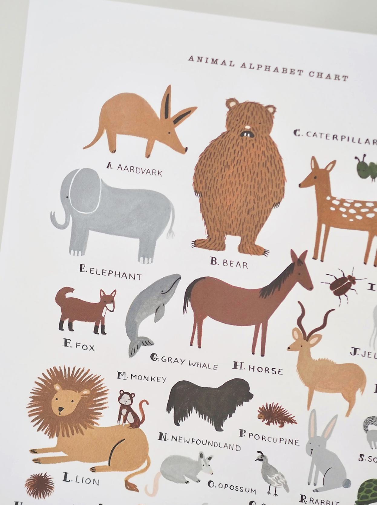 Animal Alphabet Chart Print | 11x14