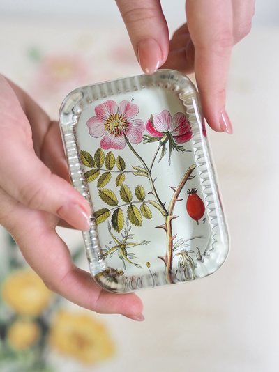 Rosa Canina Dotted Edge Rect. Paperweight - The Cross Decor & Design