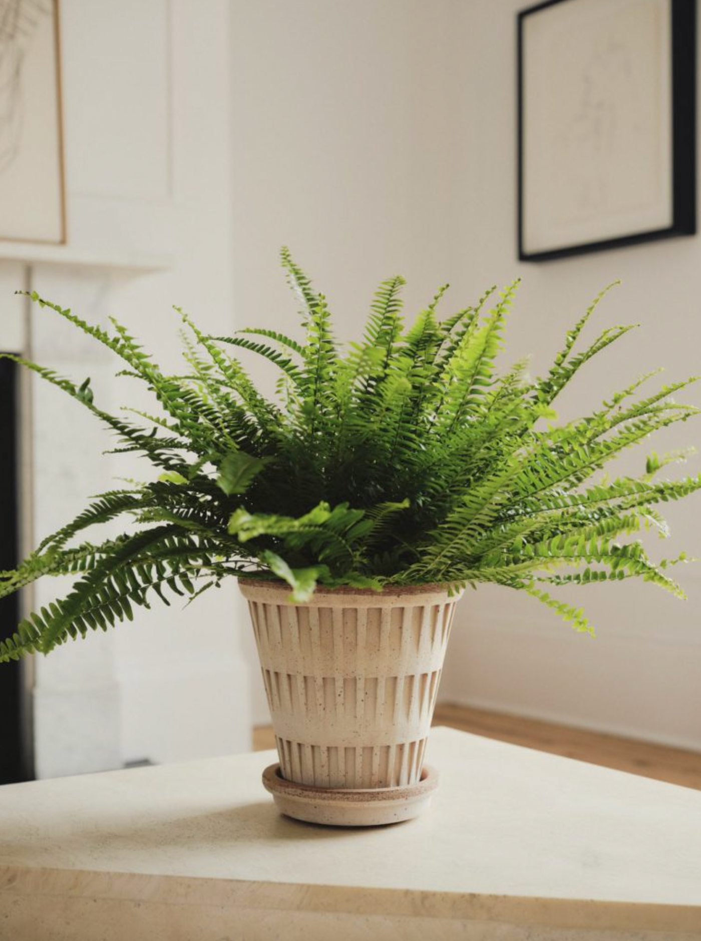 Pantheon Pot - The Cross Decor & Design