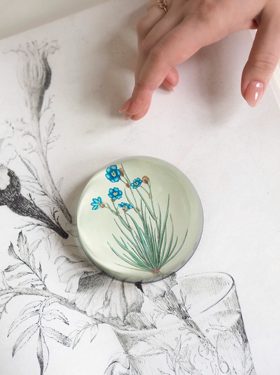 Aristia Oyanea Dome Paperweight - The Cross Decor & Design