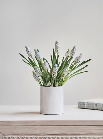 Conserve Vase - The Cross Decor & Design
