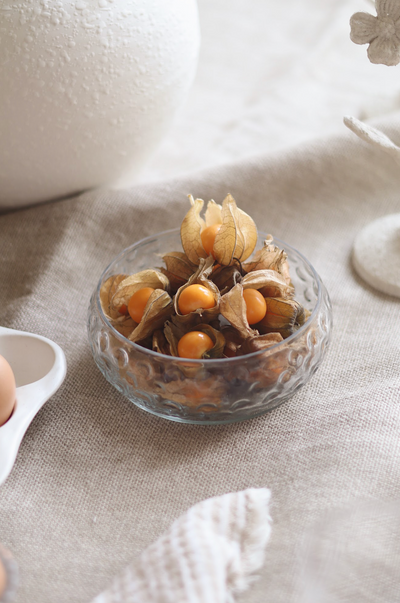 Hobnail Snack Bowl - The Cross Decor & Design
