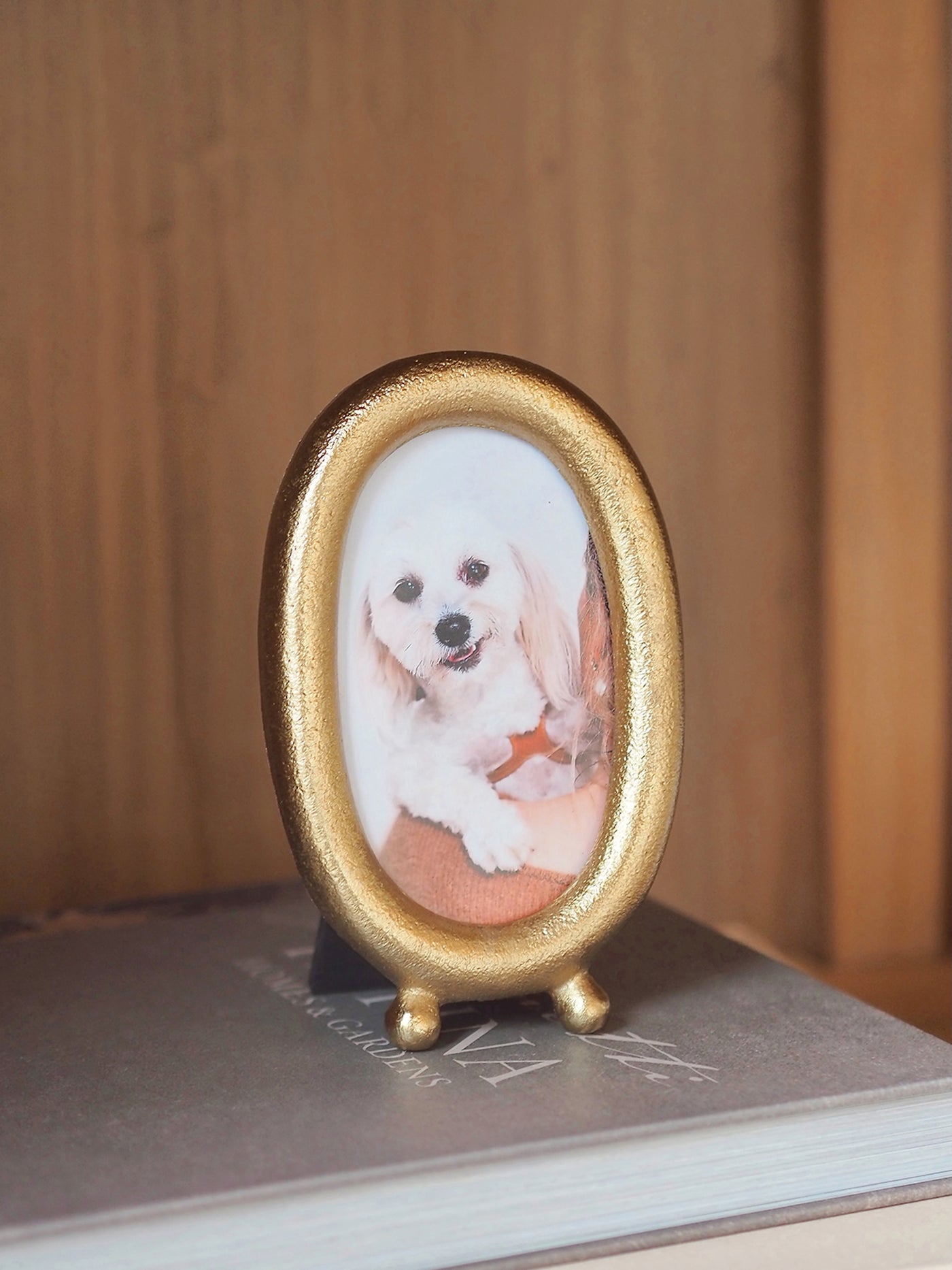 Brushed Brass Oval Mini Frame 3x4