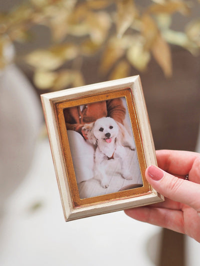 Lettie Mini Frame