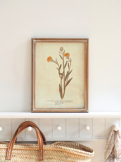 Botanicals Framed Prints | 10" x 13" - The Cross Decor & Design