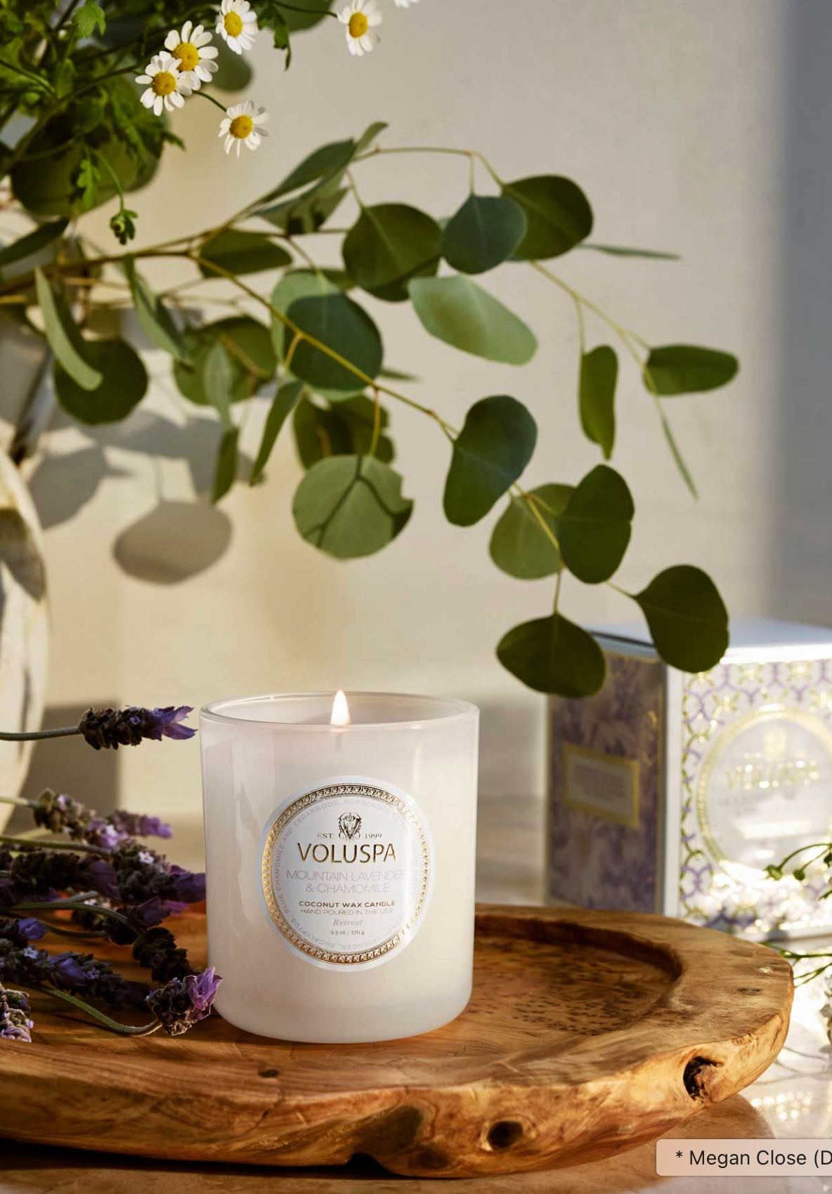 Mountain Lavender & Chamomile Classic Boxed Candle - The Cross Decor & Design