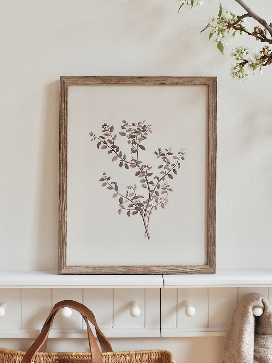 Botanical Sketch Framed Canvas Print | 11x14