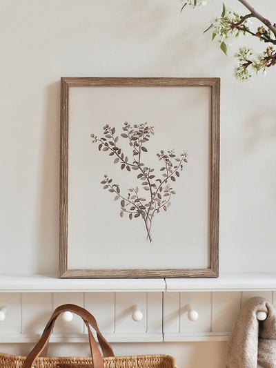 Botanical Sketch Framed Canvas Print | 11x14 - The Cross Decor & Design