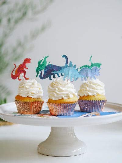 Dinosaur Kingdom Cupcake Kit