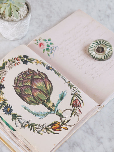 John Derian Picture Book - The Cross Decor & Design